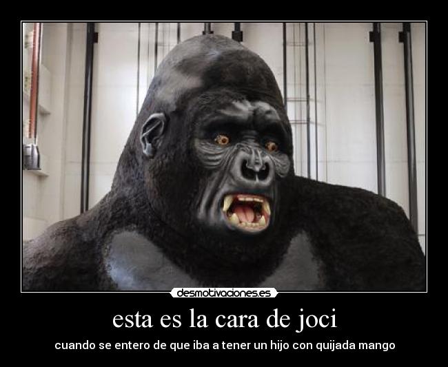 esta es la cara de joci - cuando se entero de que iba a tener un hijo con quijada mango