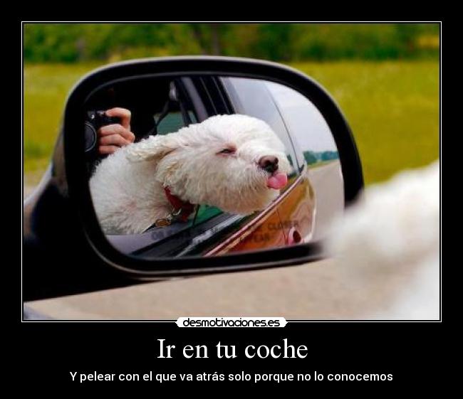 Ir en tu coche -