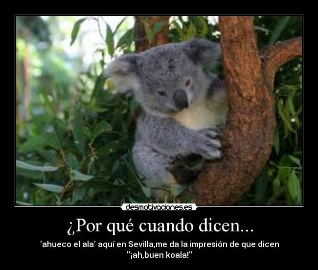 ¿Por qué cuando dicen... -