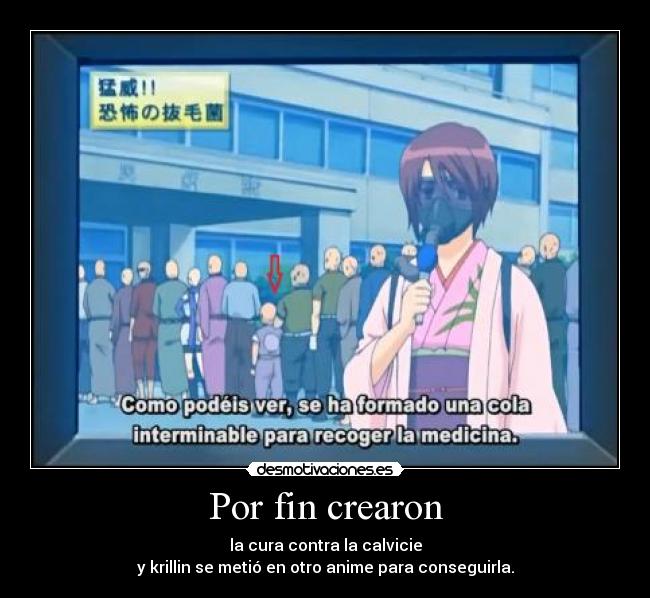 Por fin crearon - la cura contra la calvicie
y krillin se metió en otro anime para conseguirla.