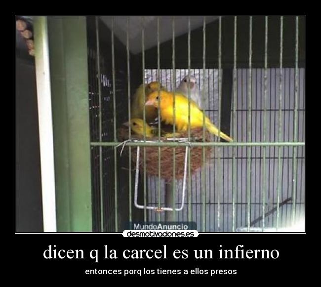 carteles eduardo perez desmotivaciones