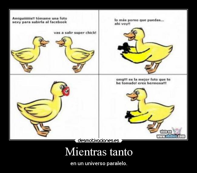 carteles duck face wtf desmotivaciones