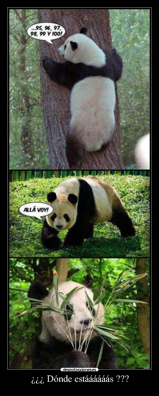 ¿¿¿ Dónde estáááááás ??? -