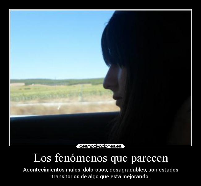 carteles fenomenos desmotivaciones