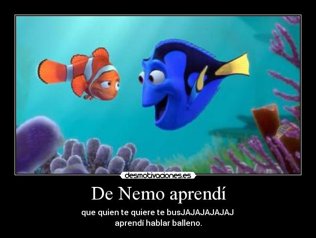 De Nemo aprendí - que quien te quiere te busJAJAJAJAJAJ 
aprendí hablar balleno.