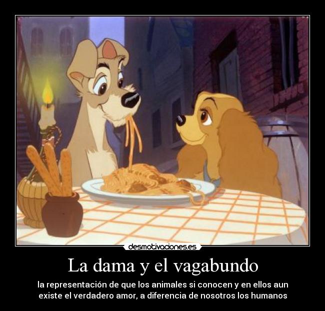La dama y el vagabundo - la representación de que los animales si conocen y en ellos aun
existe el verdadero amor, a diferencia de nosotros los humanos