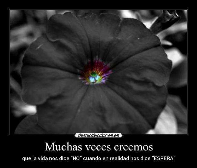 Muchas veces creemos - que la vida nos dice NO cuando en realidad nos dice ESPERA