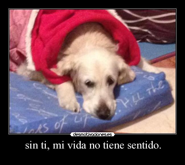 sin ti, mi vida no tiene sentido. - 