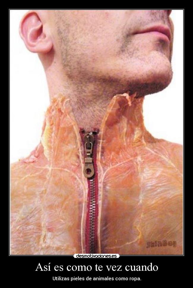 Así es como te vez cuando - Utilizas pieles de animales como ropa.