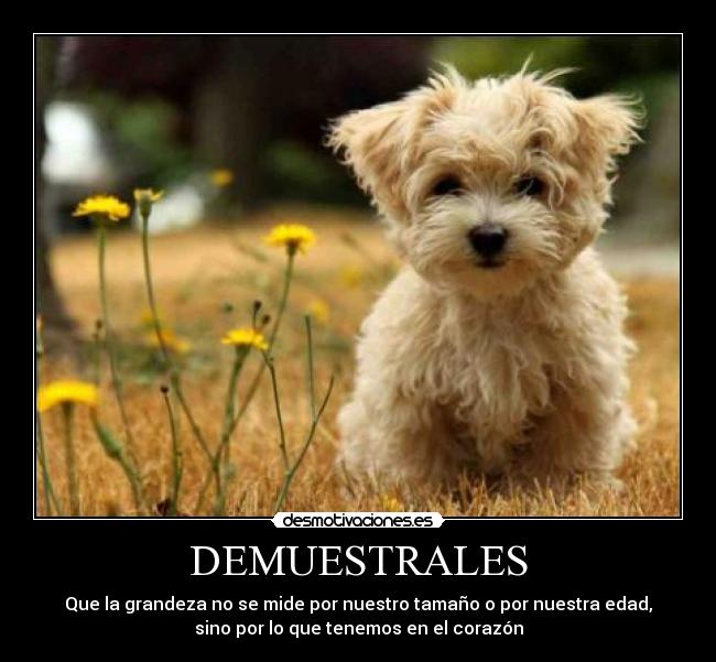 DEMUESTRALES - Que la grandeza no se mide por nuestro tamaño o por nuestra edad,
sino por lo que tenemos en el corazón