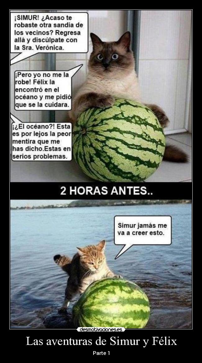 Las aventuras de Simur y Félix -