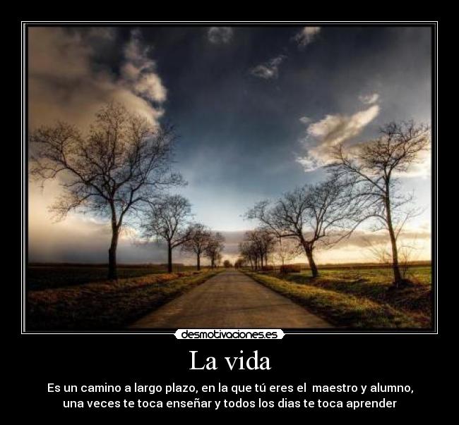 La vida - 
