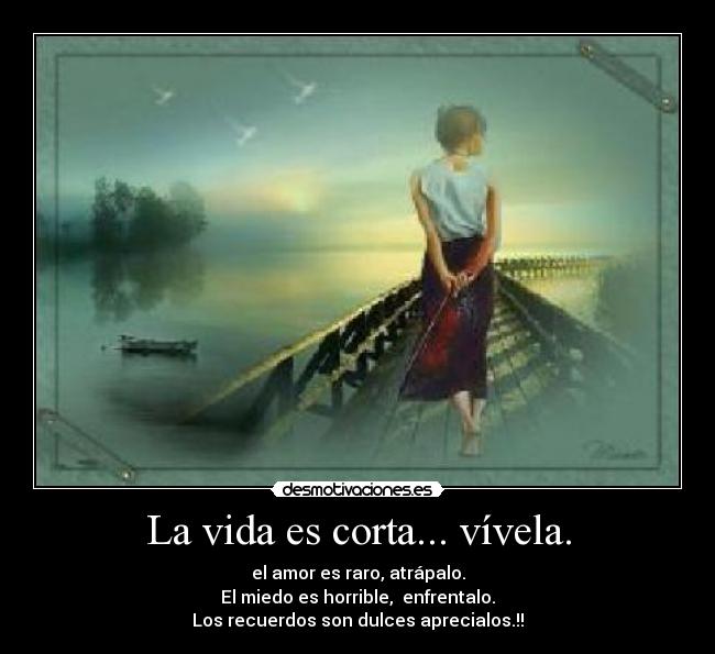 La vida es corta... vívela. - el amor es raro, atrápalo.
El miedo es horrible, enfrentalo.
Los recuerdos son dulces aprecialos.!!