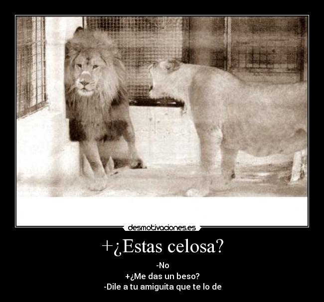 +¿Estas celosa? -