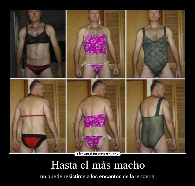 carteles macho lenceria lol wtf lol desmotivaciones