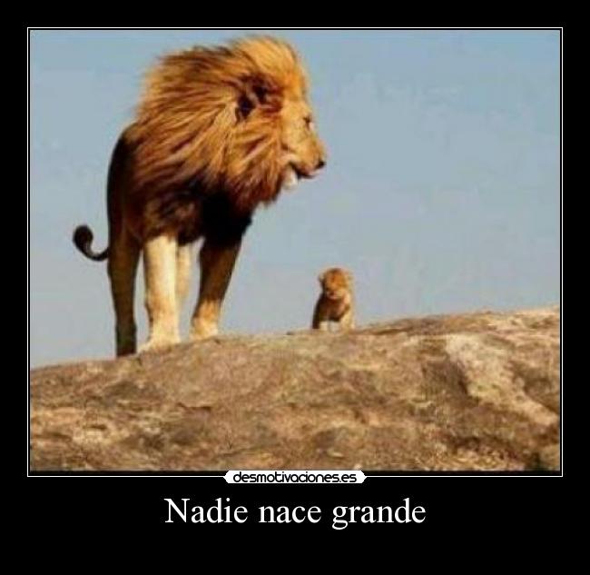 Nadie nace grande -