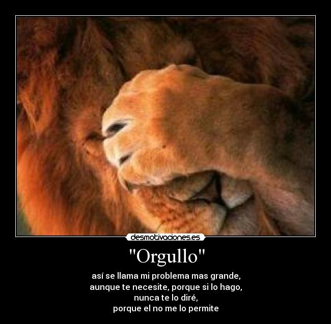 carteles orgullo desmotivaciones