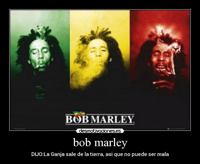 carteles vida rasta desmotivaciones