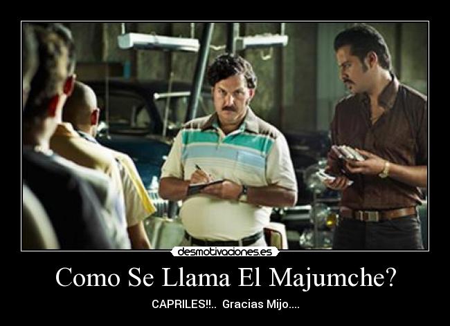 Como Se Llama El Majumche? - 