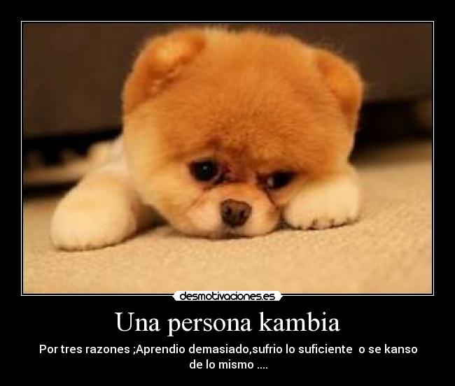Una persona kambia - Por tres razones ;Aprendio demasiado,sufrio lo suficiente o se kanso de lo mismo ....