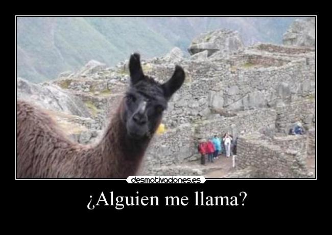 ¿Alguien me llama? -