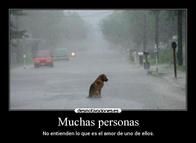Muchas personas - No entienden lo que es el amor de uno de ellos.