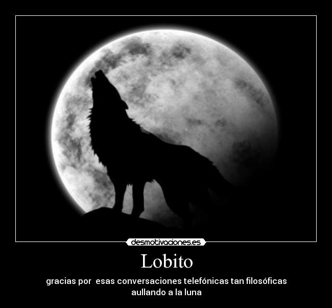 Lobito - gracias por esas conversaciones telefónicas tan filosóficas aullando a la luna