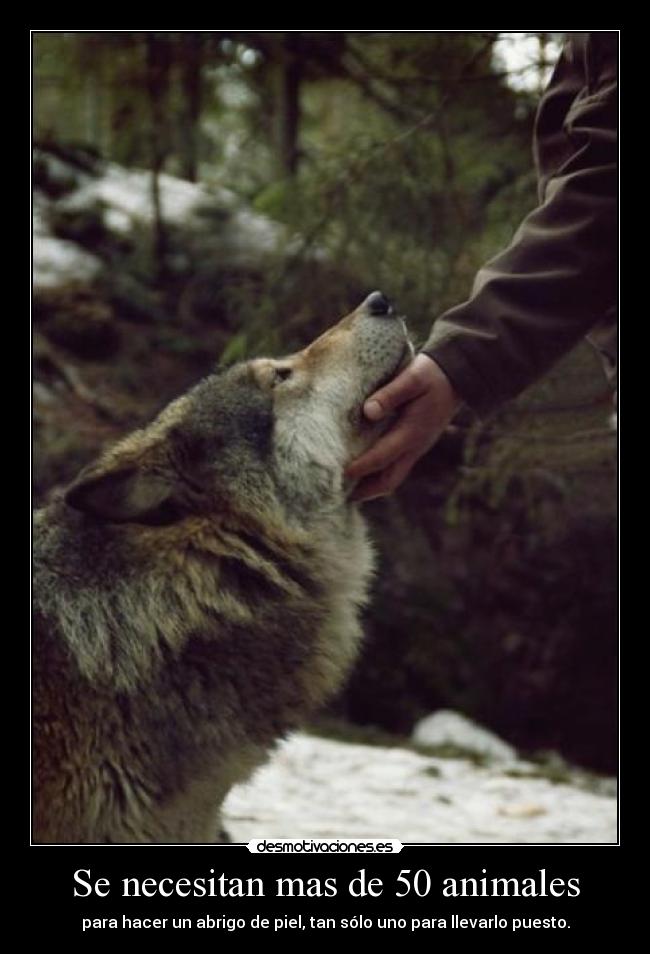 Se necesitan mas de 50 animales -