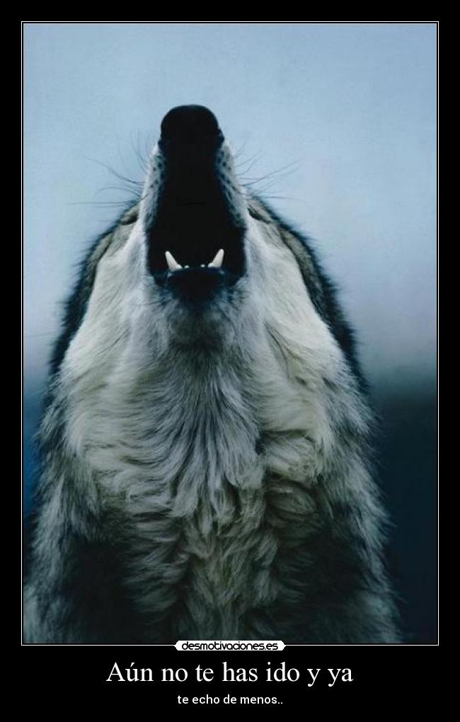 Aún no te has ido y ya - 