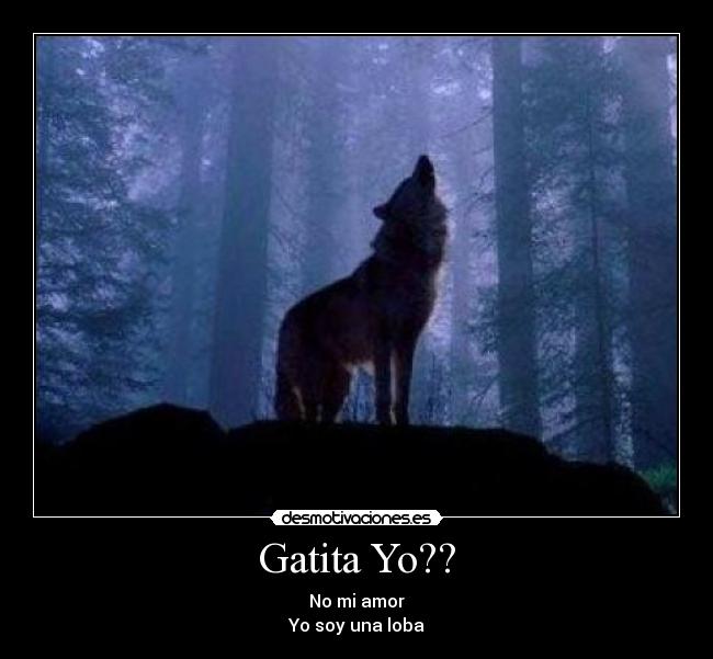 Gatita Yo?? - No mi amor
Yo soy una loba