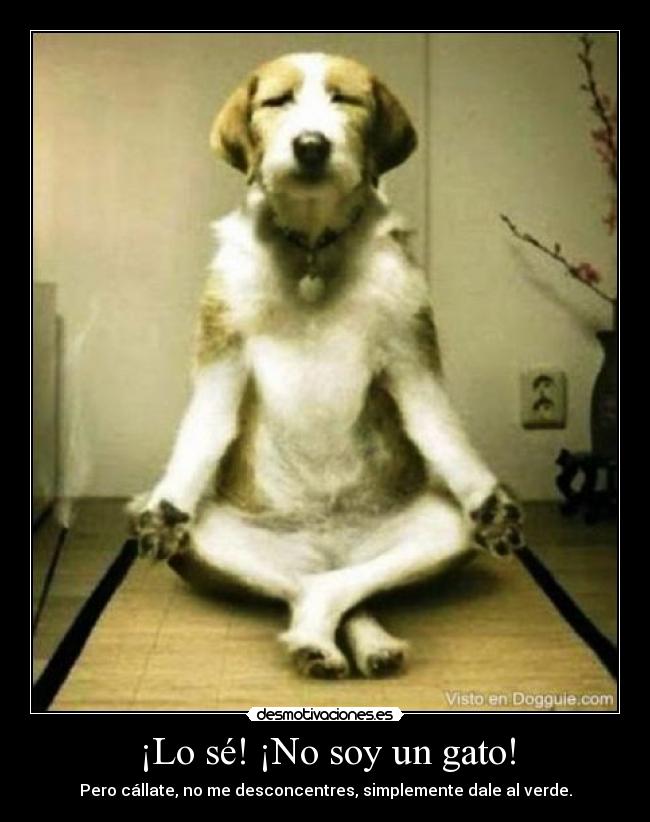 carteles benamorales desmotivaciones