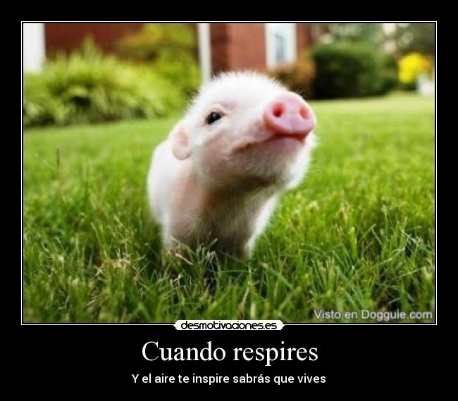 carteles una realidad desmotivaciones