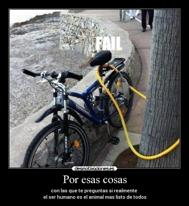 carteles por esas cosas desmotivaciones