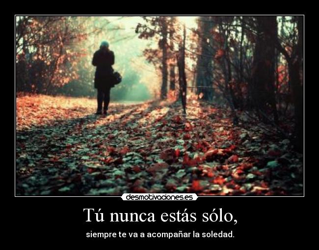 carteles jamas estamos solos soledad una buena companera algunos momentos para vida entera desmotivaciones