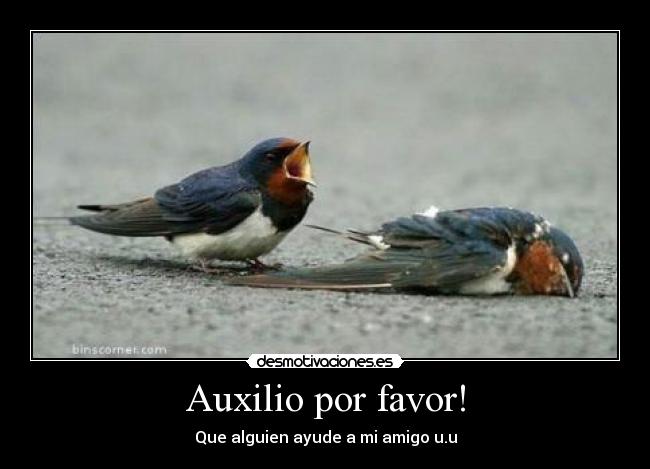 Auxilio por favor! -