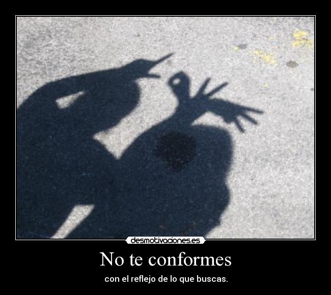 No te conformes - con el reflejo de lo que buscas.