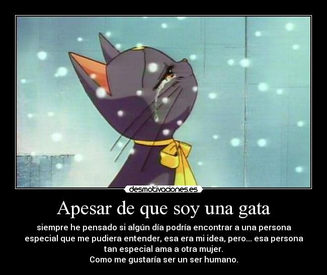 Apesar de que soy una gata - 