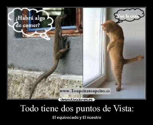 Todo tiene dos puntos de Vista: - El equivocado y El nuestro