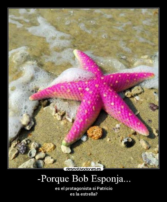 -Porque Bob Esponja... - es el protagonista si Patricio
es la estrella?