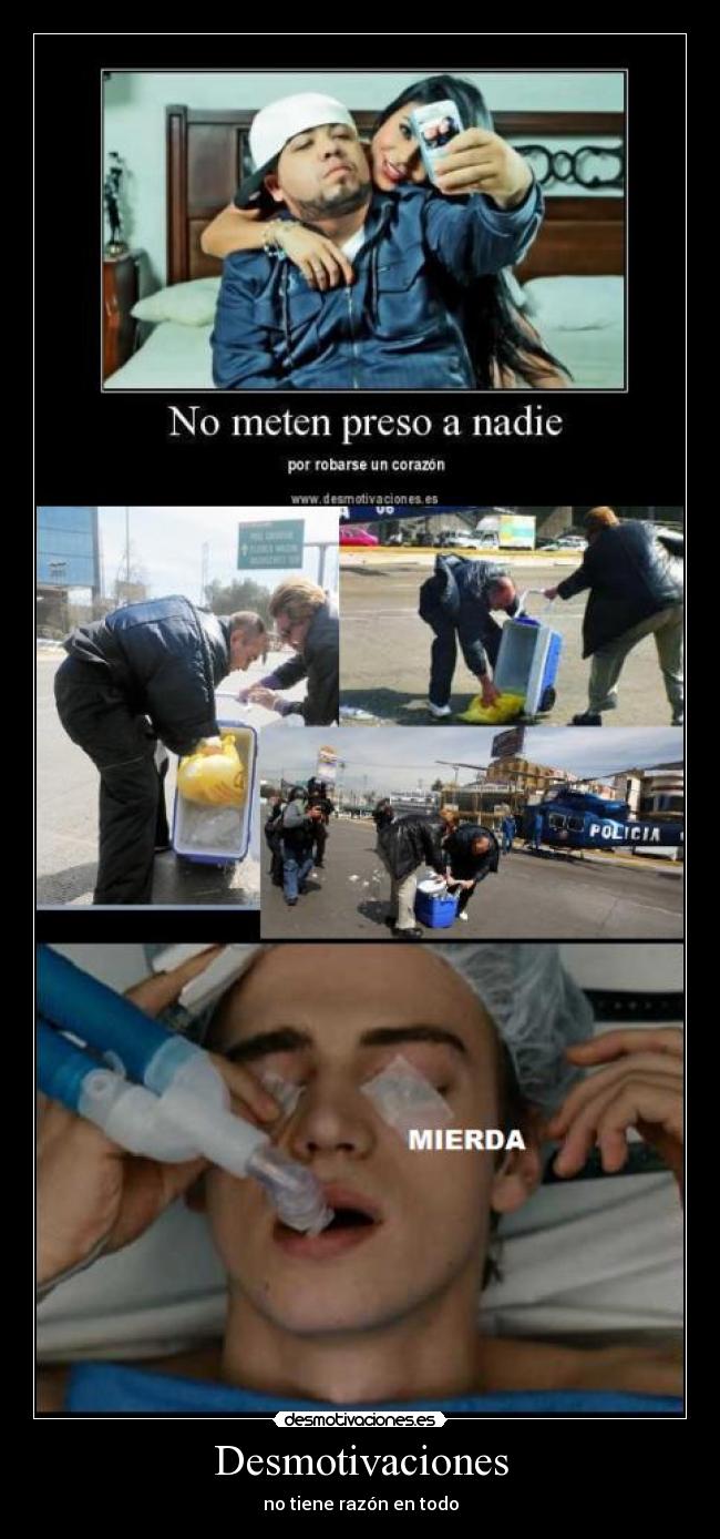 Desmotivaciones - 