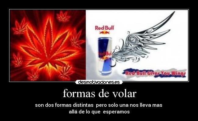 formas de volar - son dos formas distintas  pero solo una nos lleva mas 
allá de lo que  esperamos