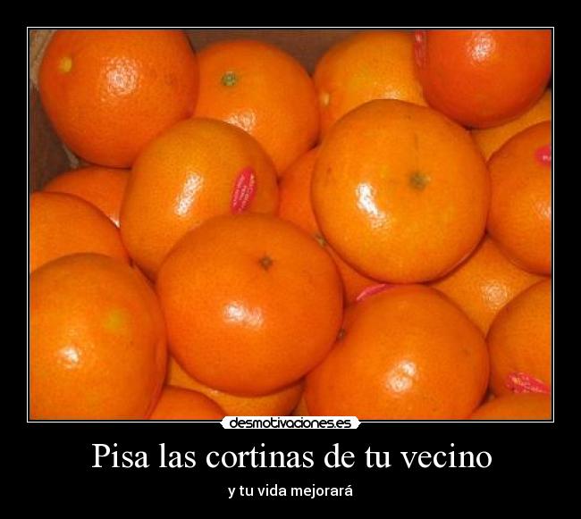 Pisa las cortinas de tu vecino -