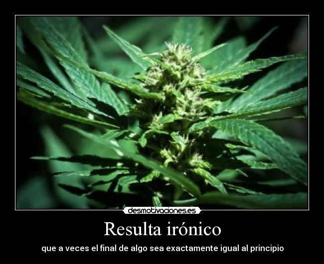 Resulta irónico - que a veces el final de algo sea exactamente igual al principio