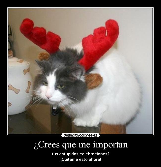 ¿Crees que me importan - tus estúpidas celebraciones?
¡Quítame esto ahora!