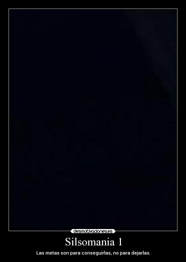 Silsomania 1 - Las metas son para conseguirlas, no para dejarlas.