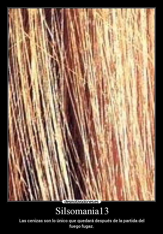 carteles cdg megacartelsilso silsomania que quemo desmotivaciones