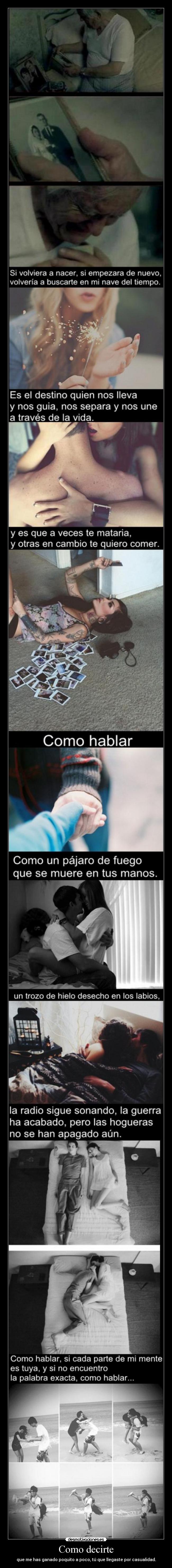 Como decirte - que me has ganado poquito a poco, tú que llegaste por casualidad.