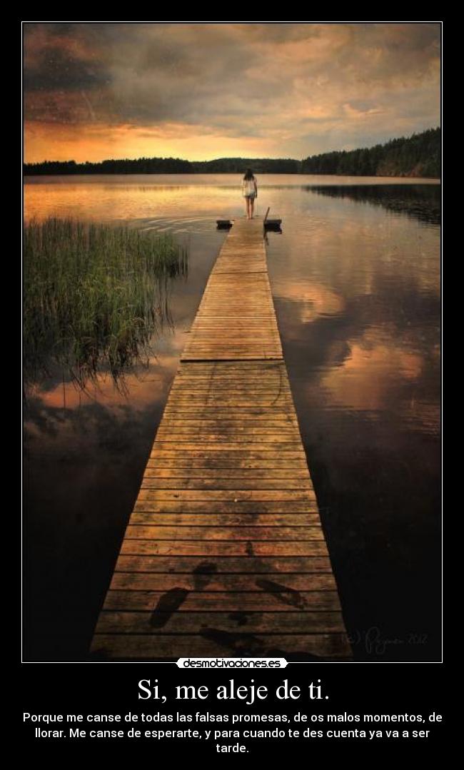 Si, me aleje de ti. -