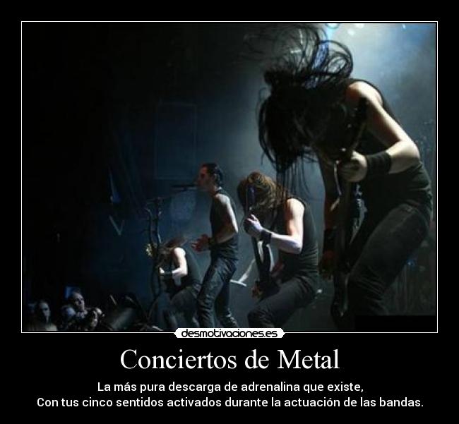 Conciertos de Metal - La más pura descarga de adrenalina que existe,
Con tus cinco sentidos activados durante la actuación de las bandas.