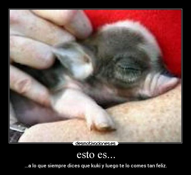 esto es... - 